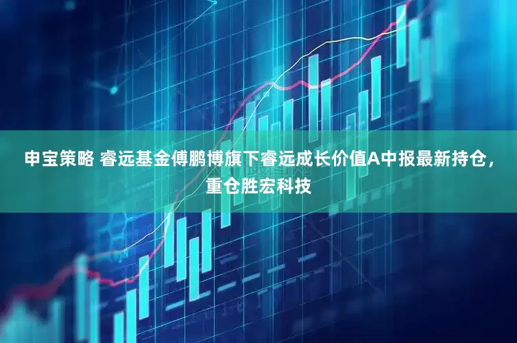 申宝策略 睿远基金傅鹏博旗下睿远成长价值A中报最新持仓，重仓胜宏科技