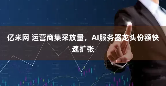 亿米网 运营商集采放量，AI服务器龙头份额快速扩张