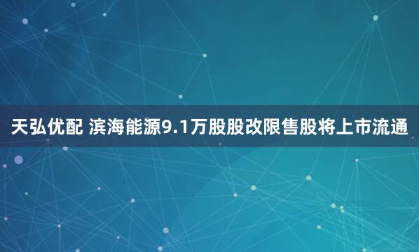 天弘优配 滨海能源9.1万股股改限售股将上市流通